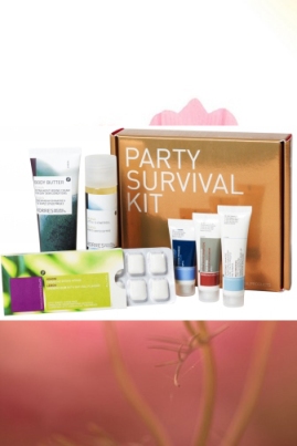 Party Survival Kit